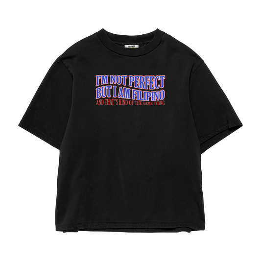 I’M NOT PERFECT BUT I AM FILIPINO T-SHIRT